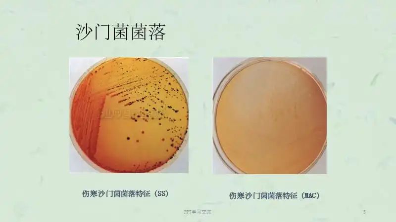 点击打开原图